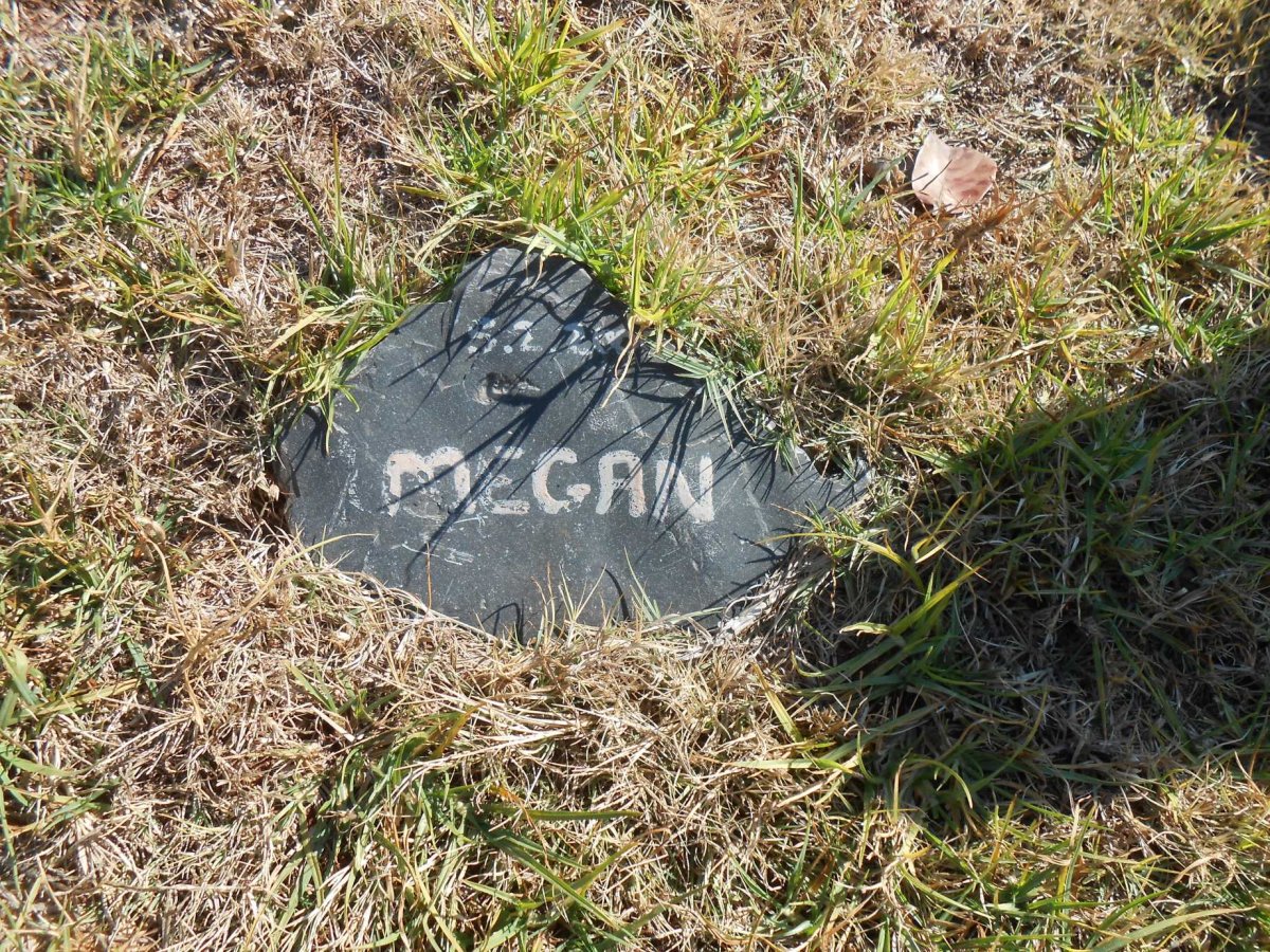 ? Megan