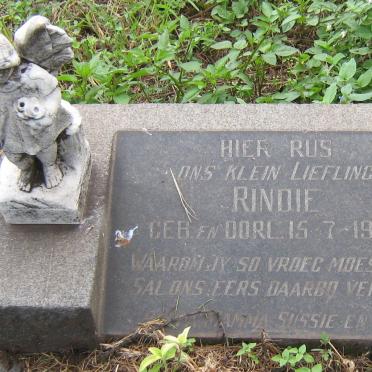 ? Rindie 1962-1962