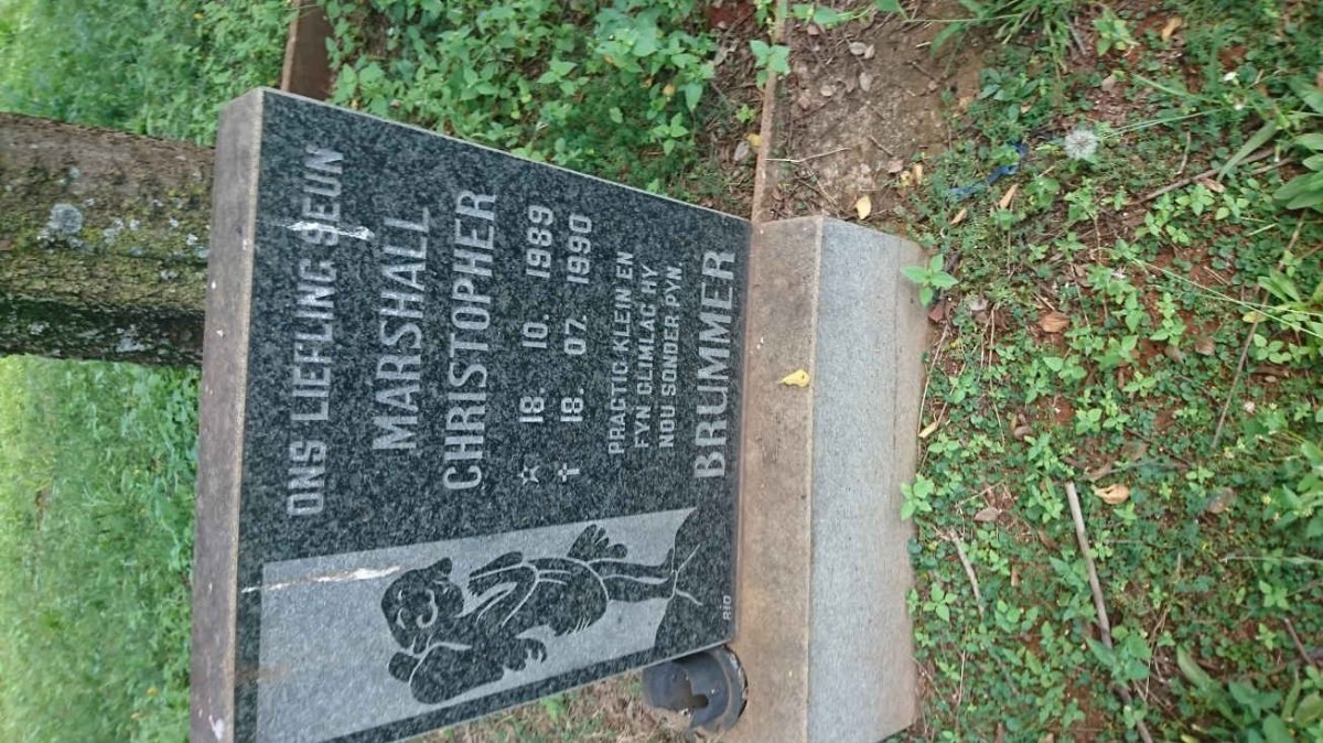 BRUMMER Marshall Christopher 1989-1990