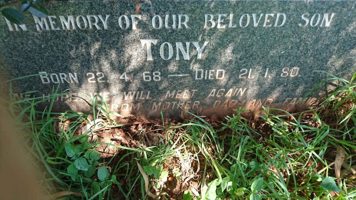 HENDRICKS Tony 1968-1980