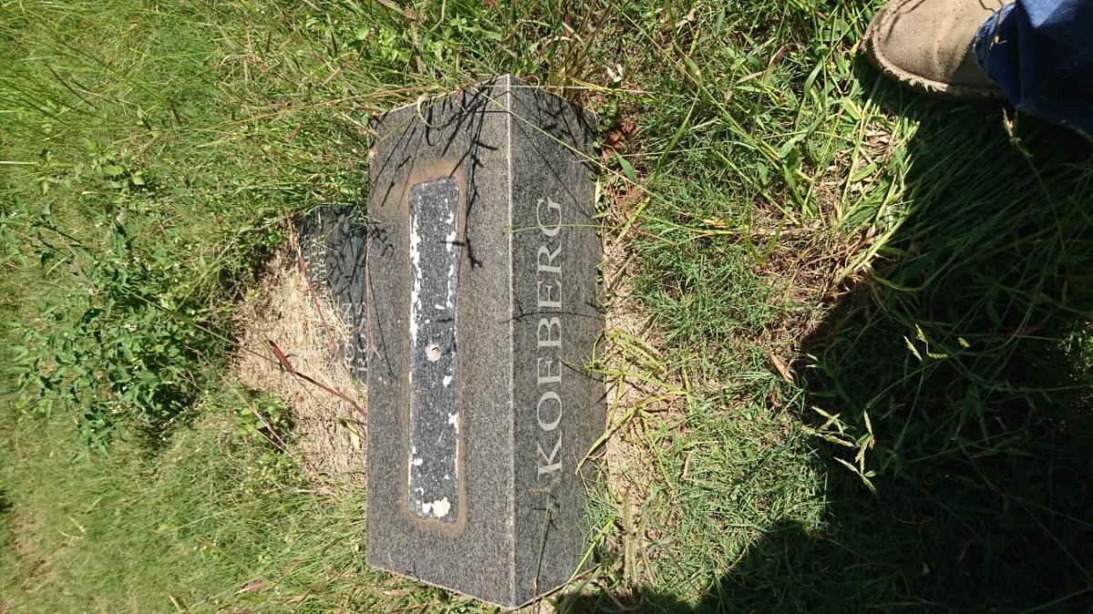 KOEBERG John Ross 1981-1981