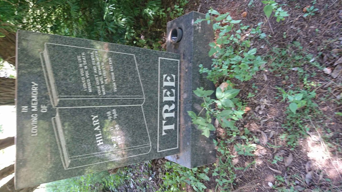 TREE Hilary 1938-1986