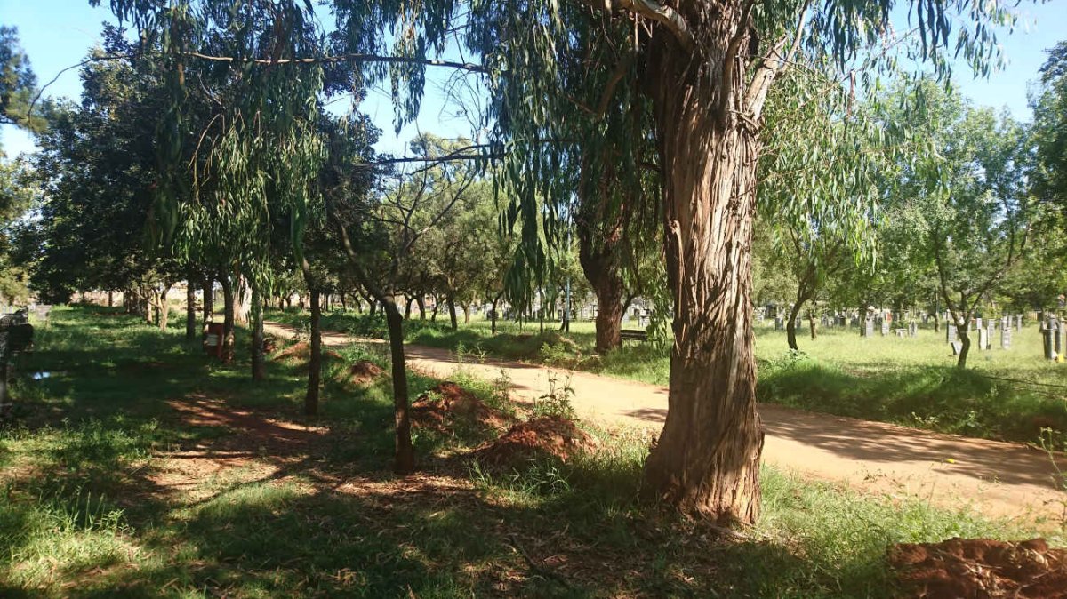 3. Overview