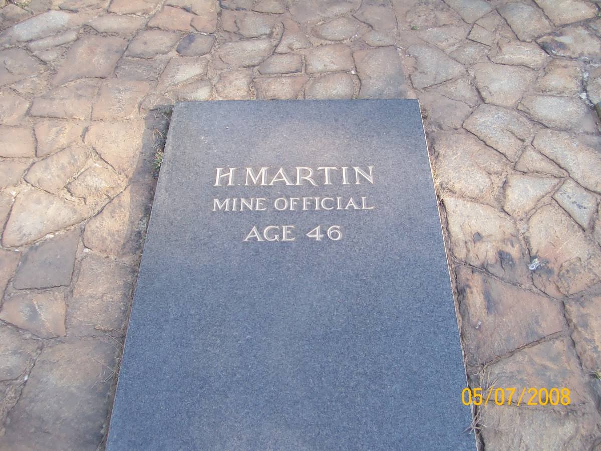 MARTIN H.