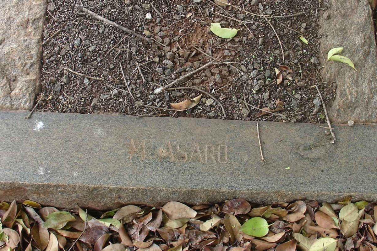 ASARO M.