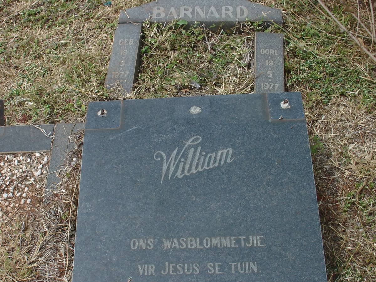 BARNARD William 1977-1977