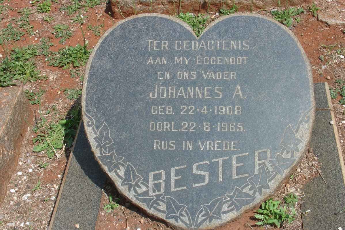 BESTER Johannes A. 1908-1965