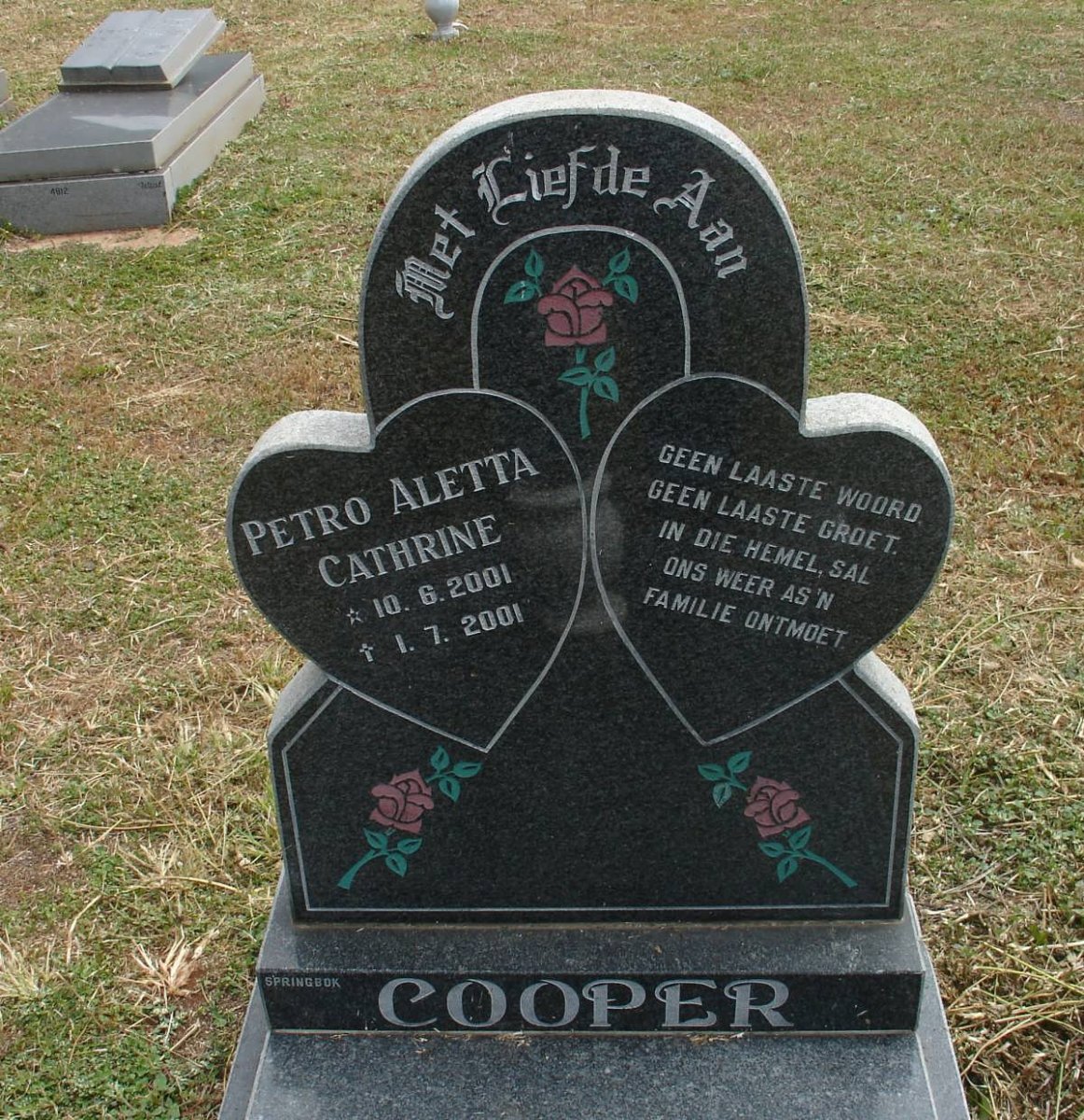 COOPER Petro Aletta Cathrine 2001-2001