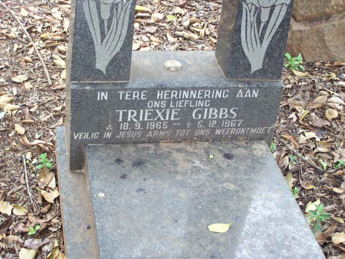 GIBBS Triexie 1965-1967
