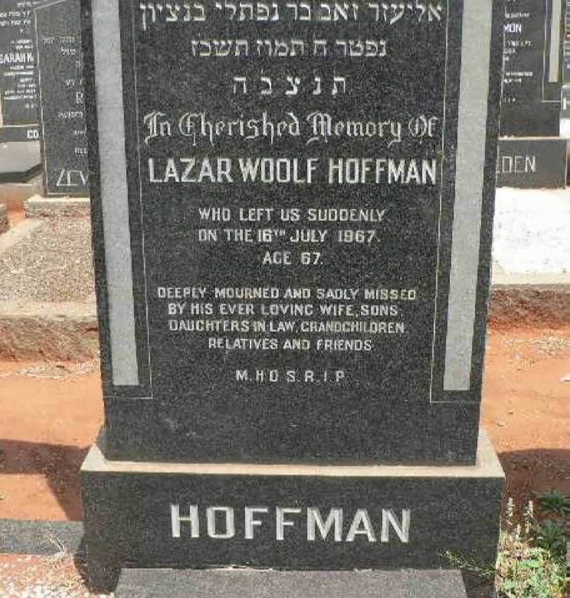 HOFFMAN Lazar Woolf -1967