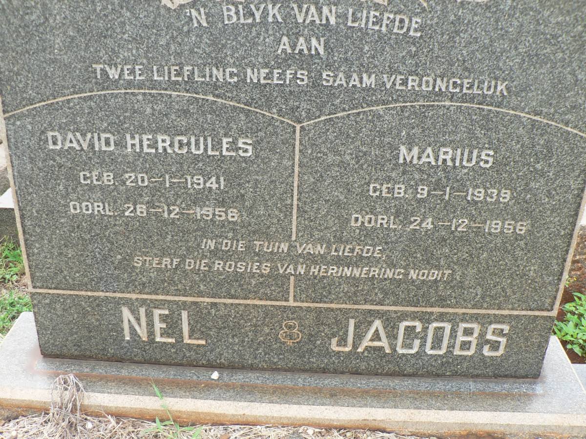 JACOBS Marius 1939-1956 :: NEL David Hercules 1941-1956