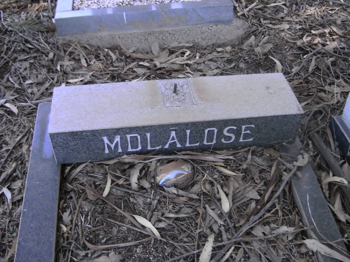 MDLALOSE