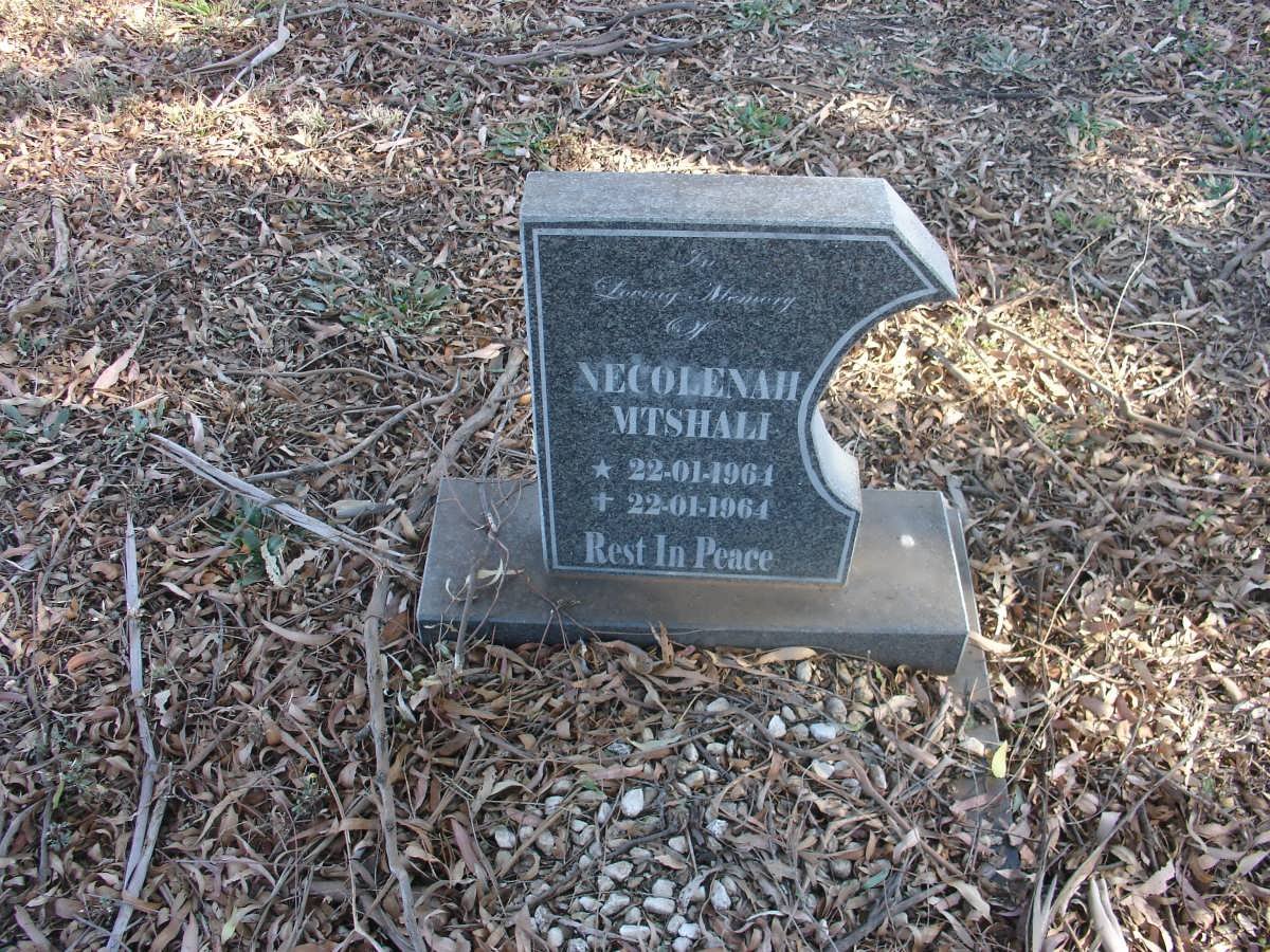 MTSHALL Necolenah 1964-1964