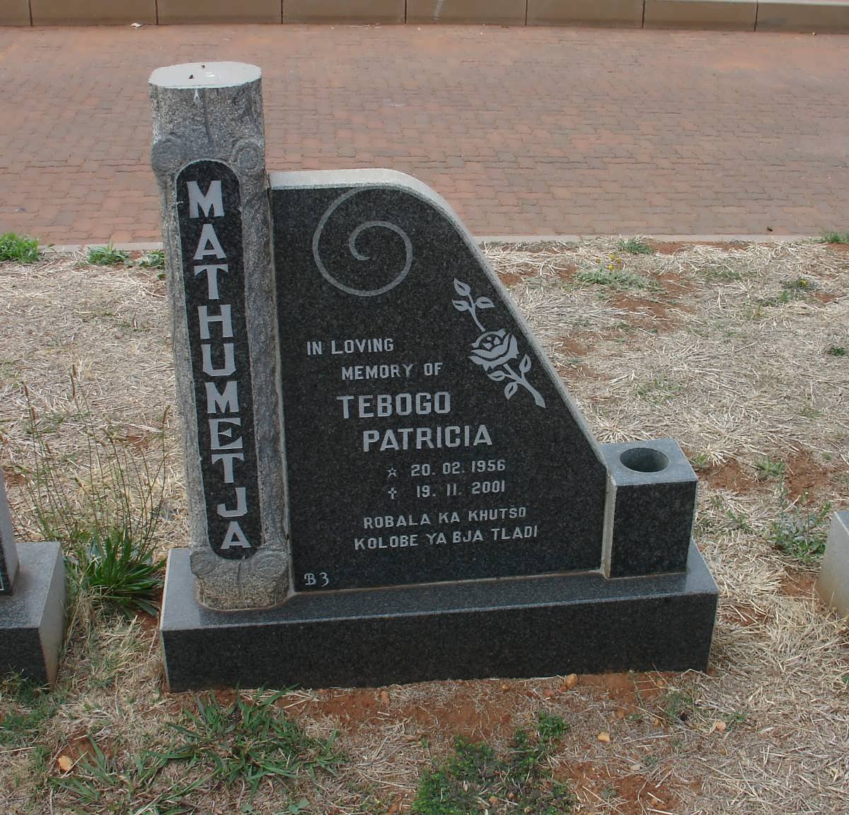 MATHUMETJA Tebogo Patricia 1956-2001