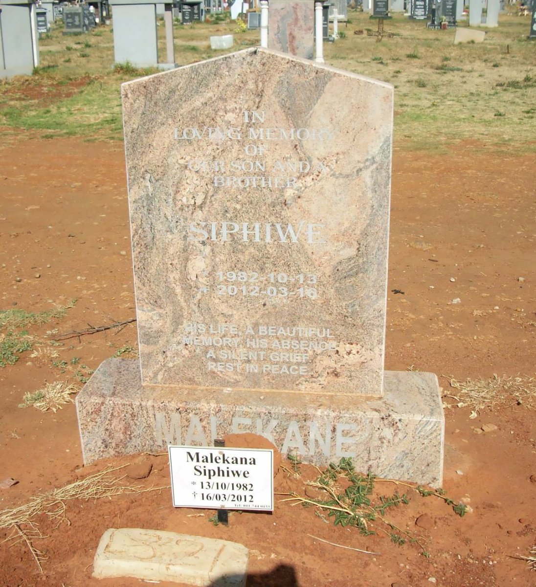 MALEKANA Siphiwe 1982-2012