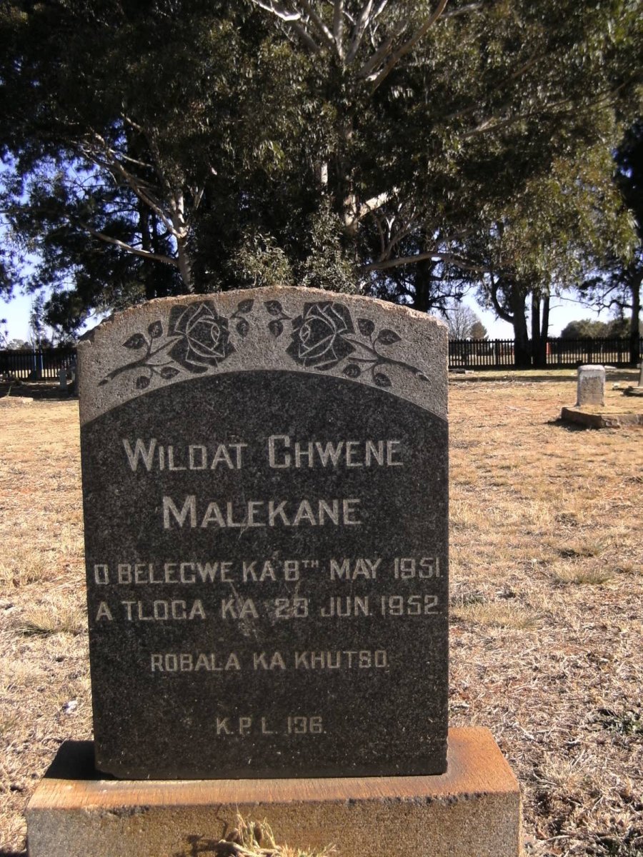 MALEKANE Wildat Chwene 1951-1952