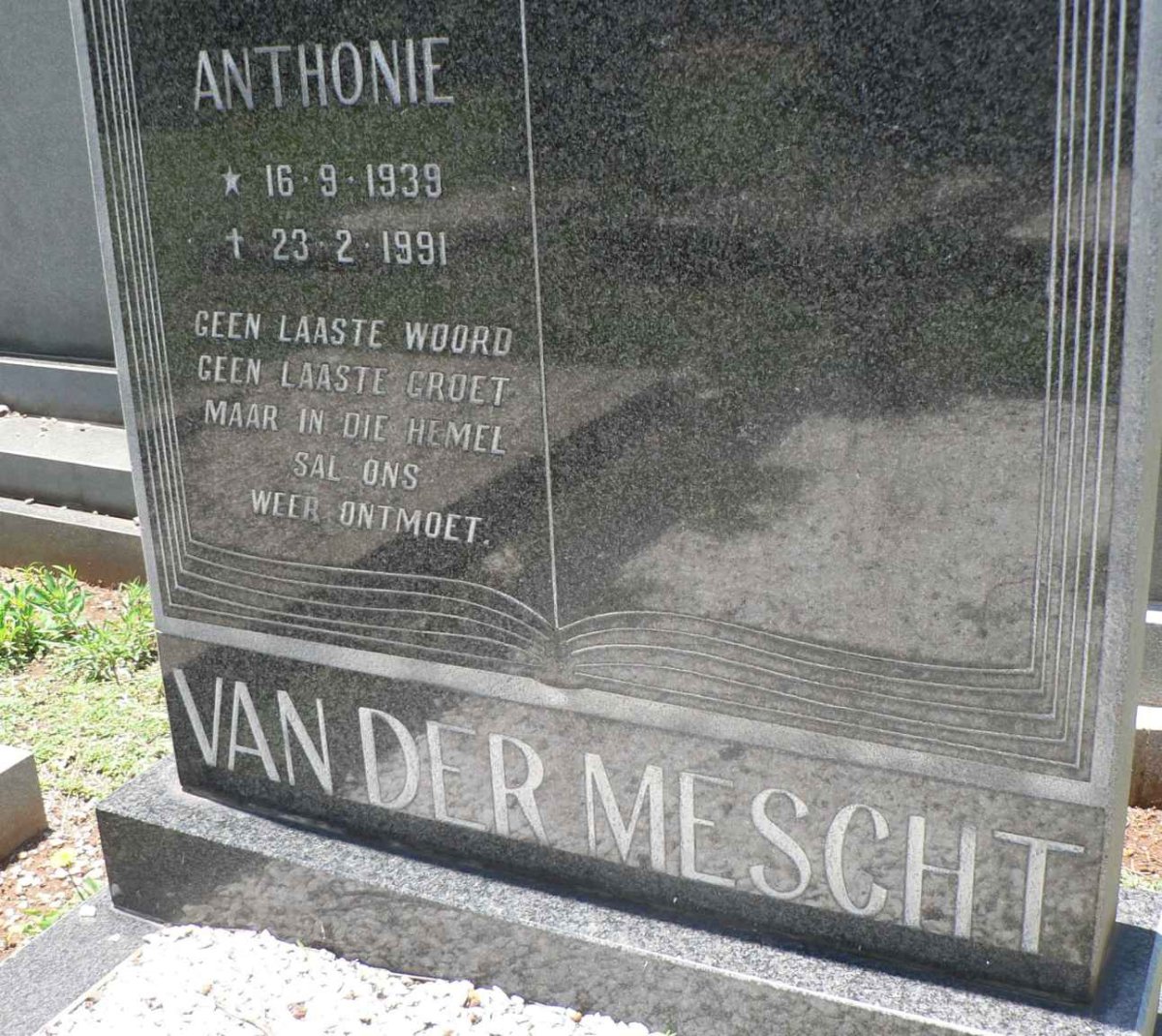 MESCHT Anthonie, van der 1939-1991