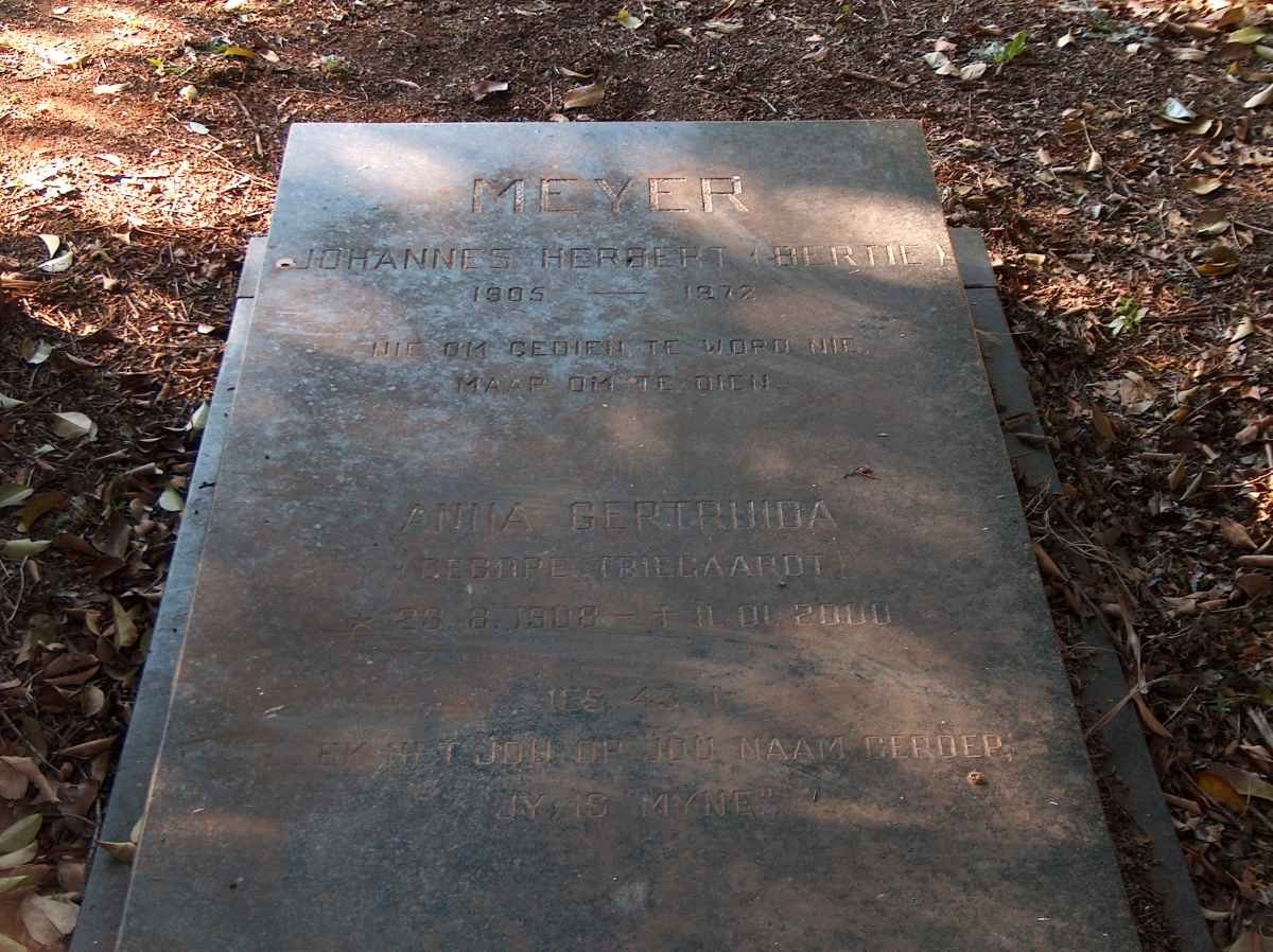 MEYER Johannes Herbert 1905-1972 &amp; Anna Gertruida TRIEGAARDT 1908-2000