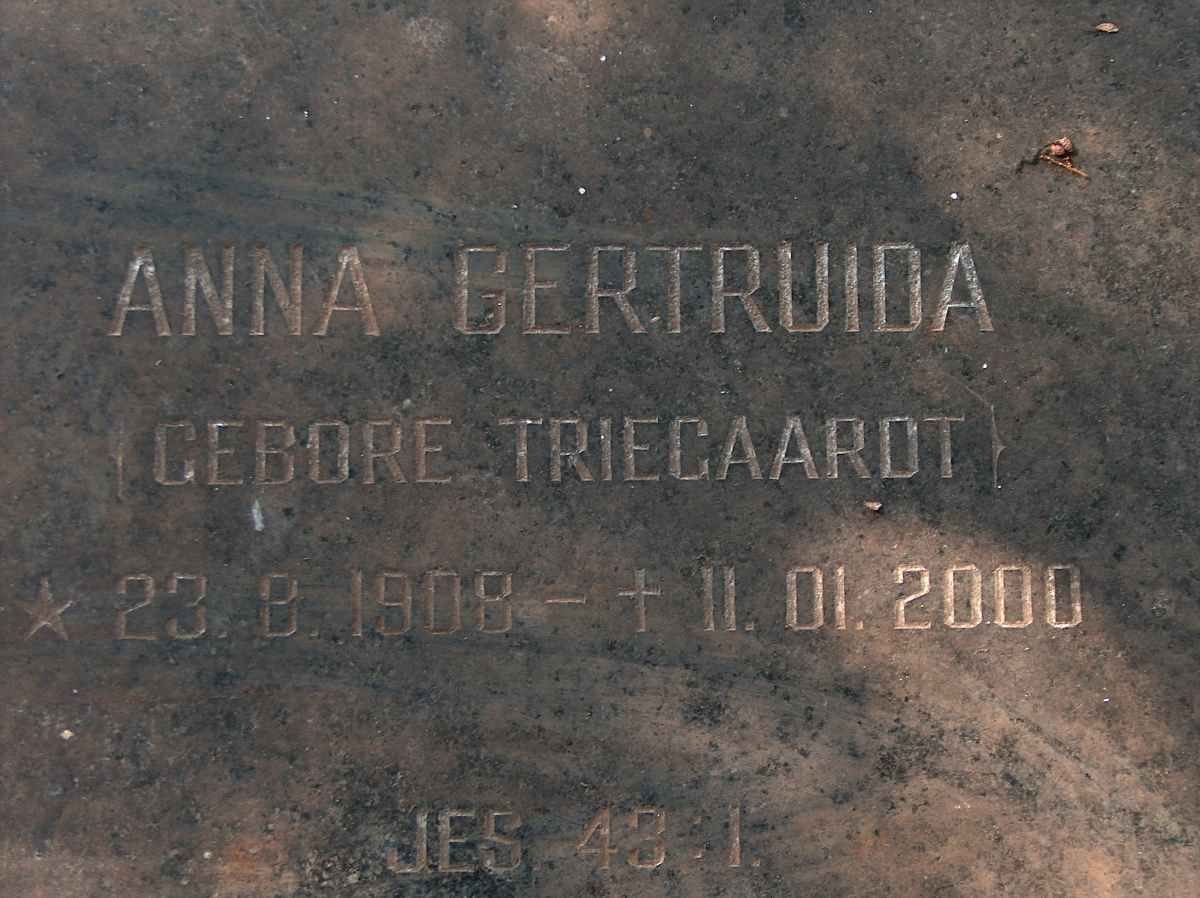 MEYER Anna Gertruida nee TRIEGAARDT 1908-2000