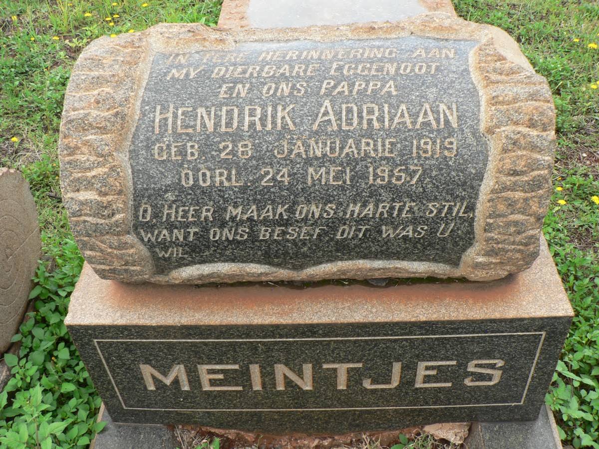 MEINTJES Hendrik Adriaan 1919-1957