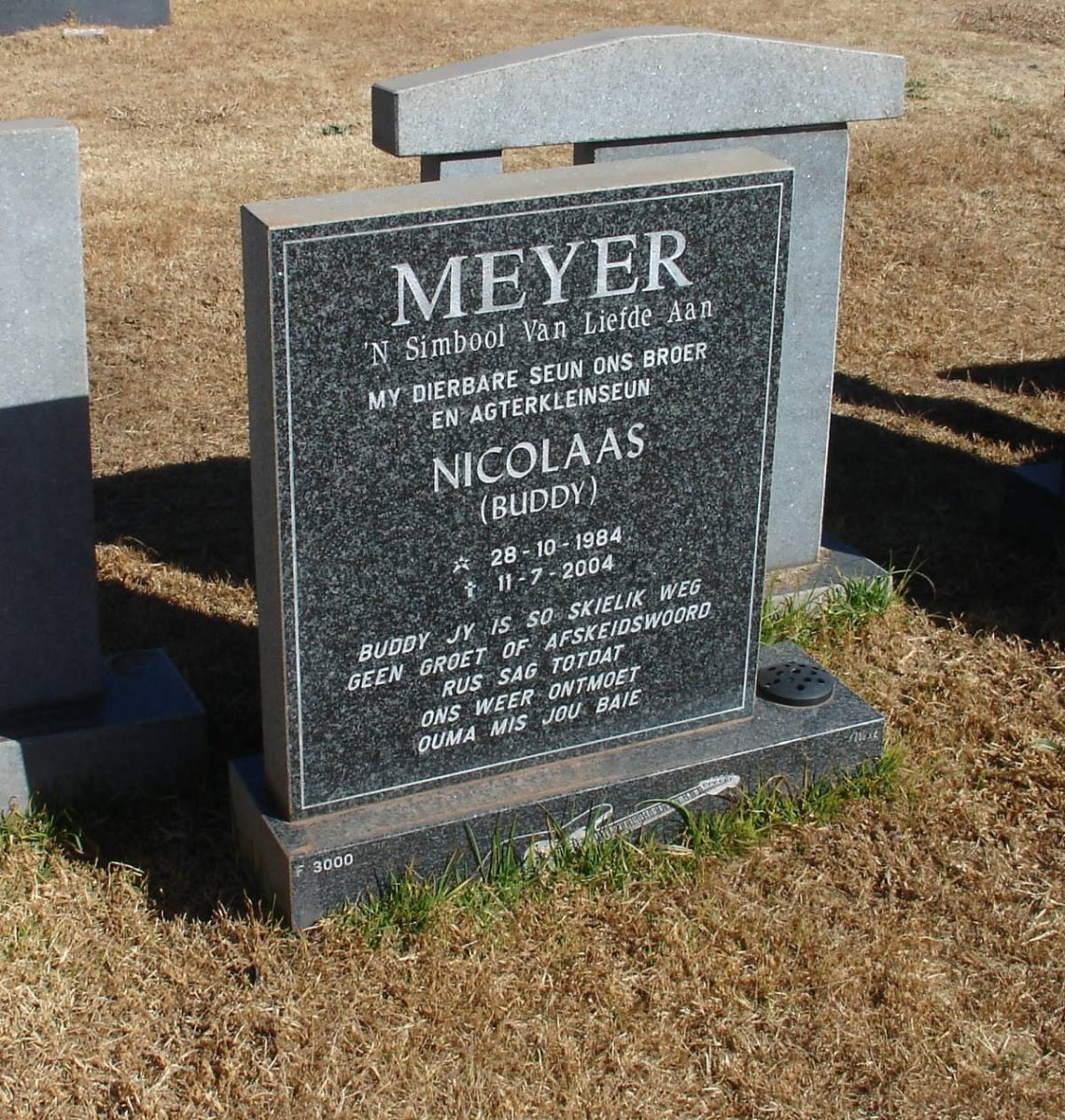 MEYER Nicolaas 1984-2004