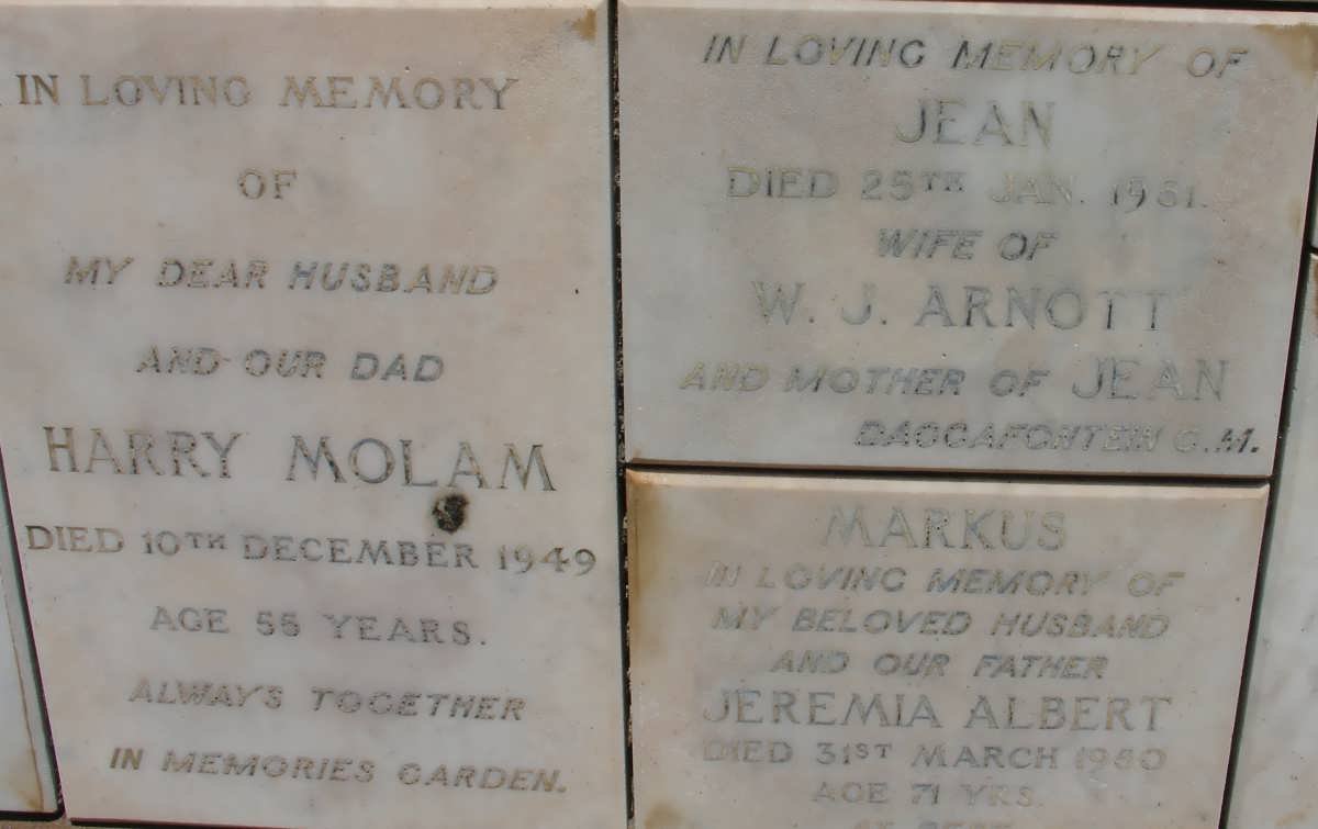 MOLAM :: ARNOTT :: MARKUS