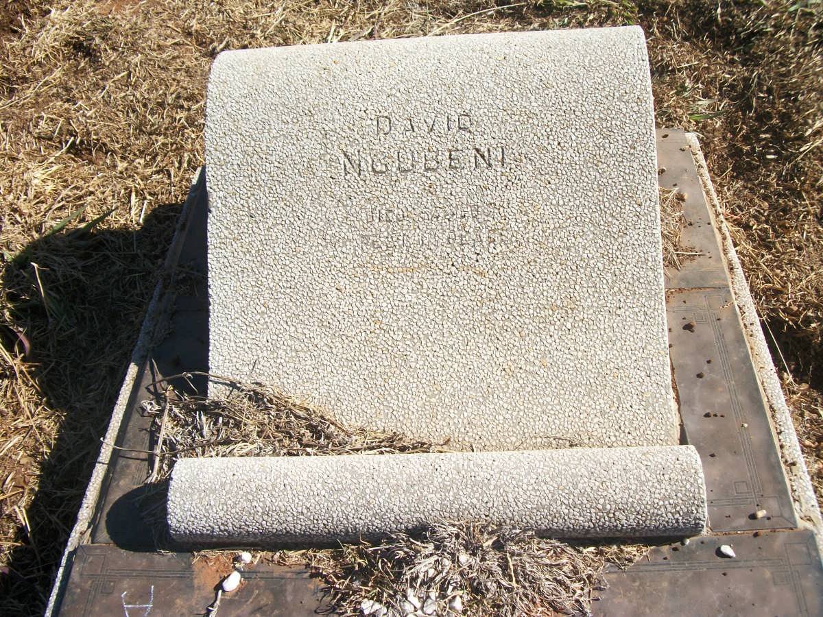 NGOBENI David
