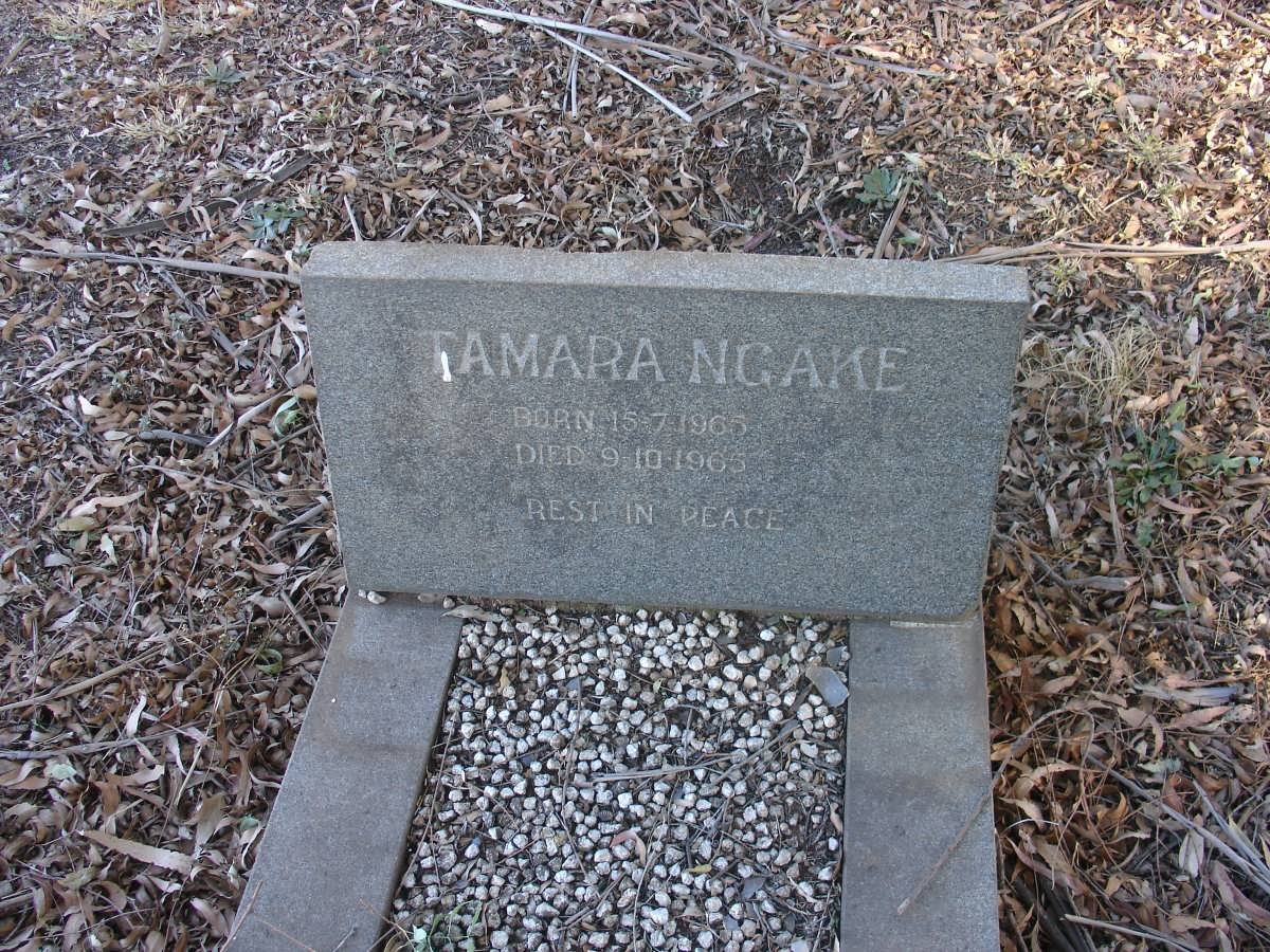 NGAKE Tamara 1965-1965