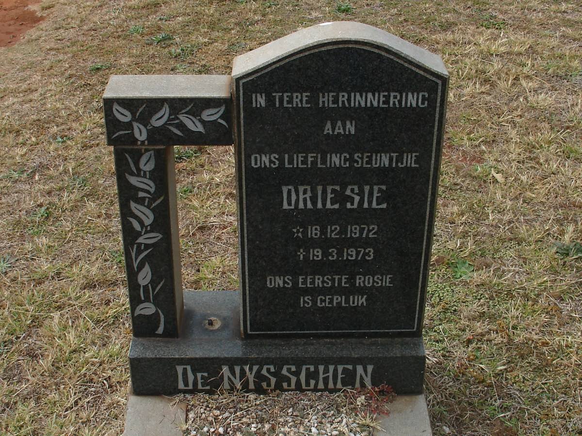 NYSSCHEN Driesie, de 1972-1973