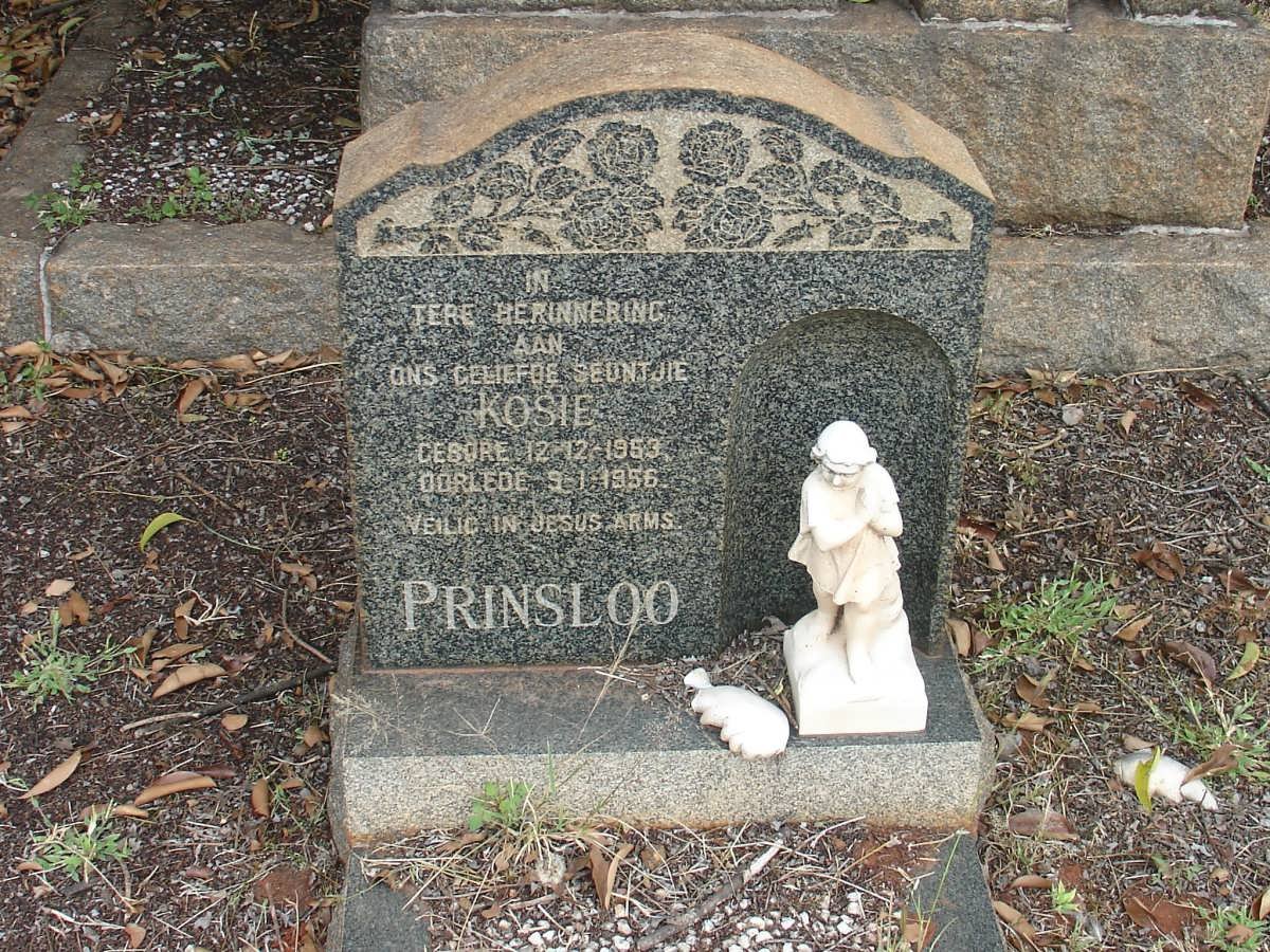PRINSLOO Kosie 1953-1956
