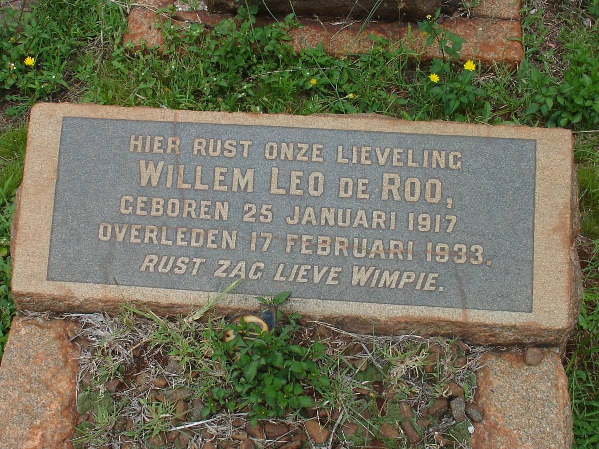 ROO Willem Leo, de 1917-1933