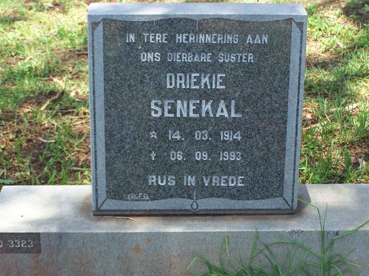 SENEKAL Driekie 1914-1993