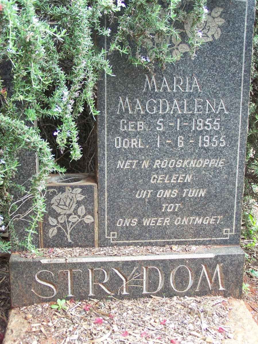 STRYDOM Maria Magdalena 1955-1955