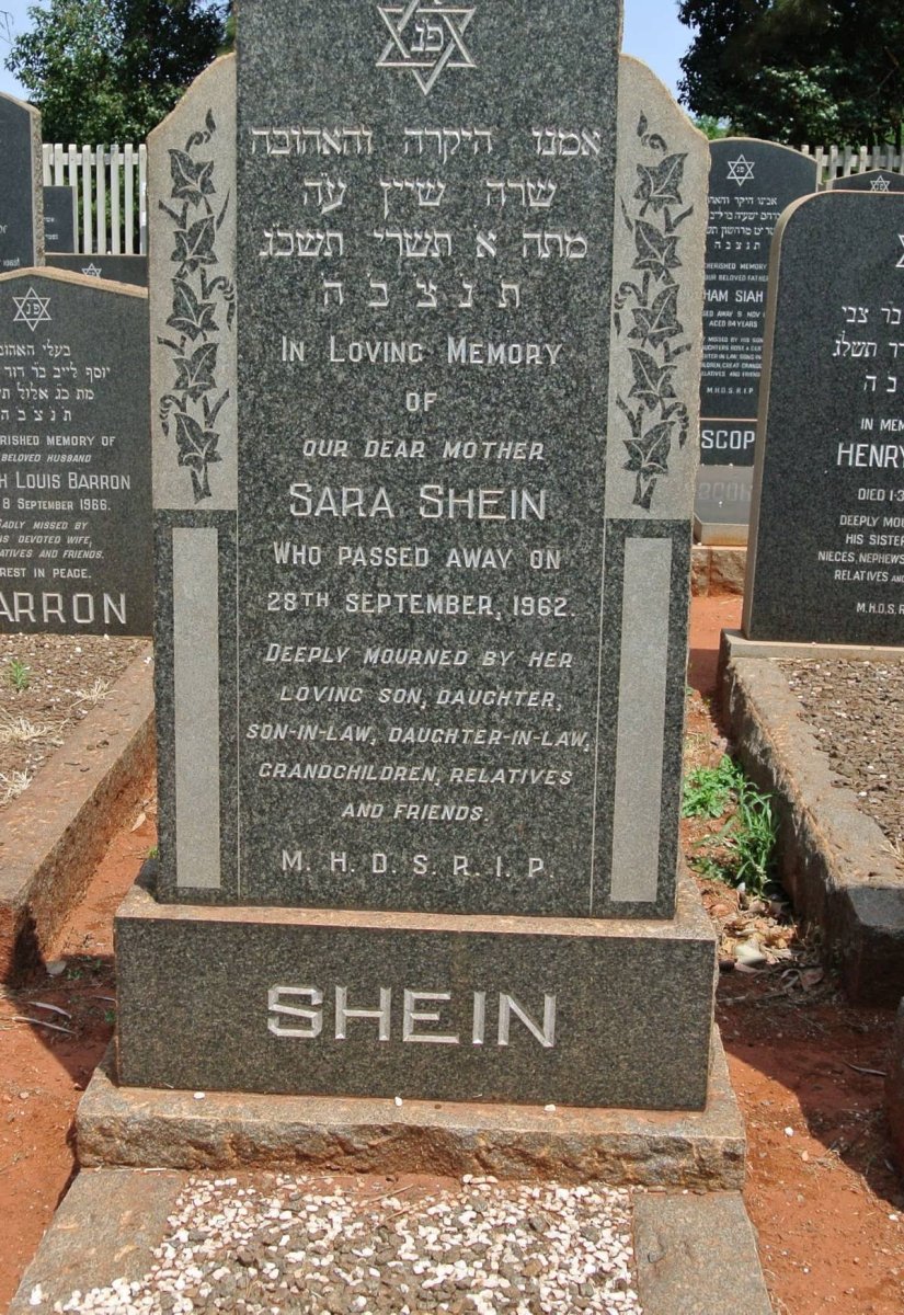 SHEIN Sara -1962