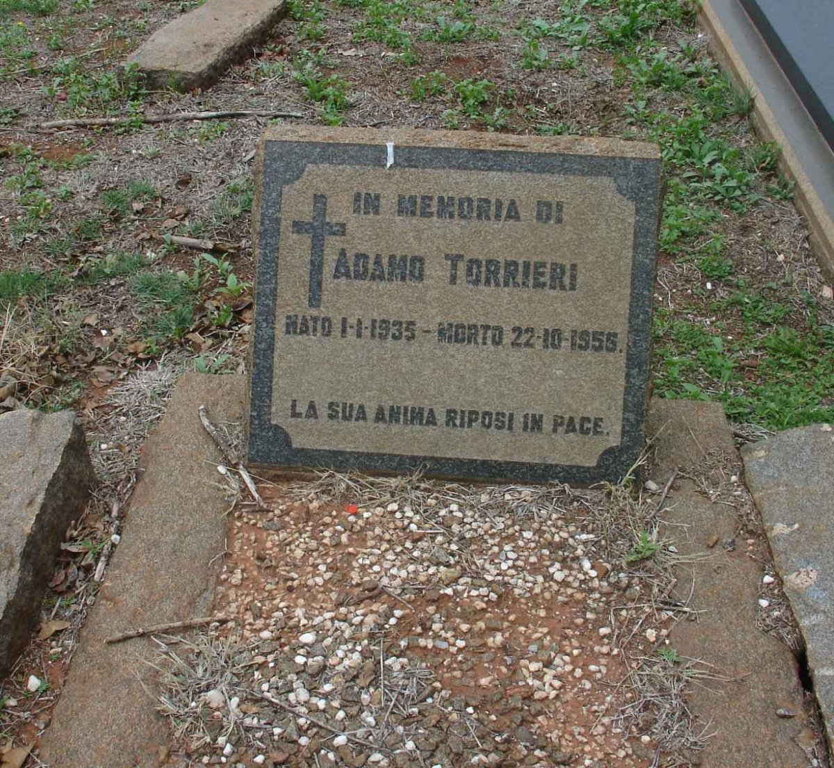TORRIERI Adamo 1935-1956