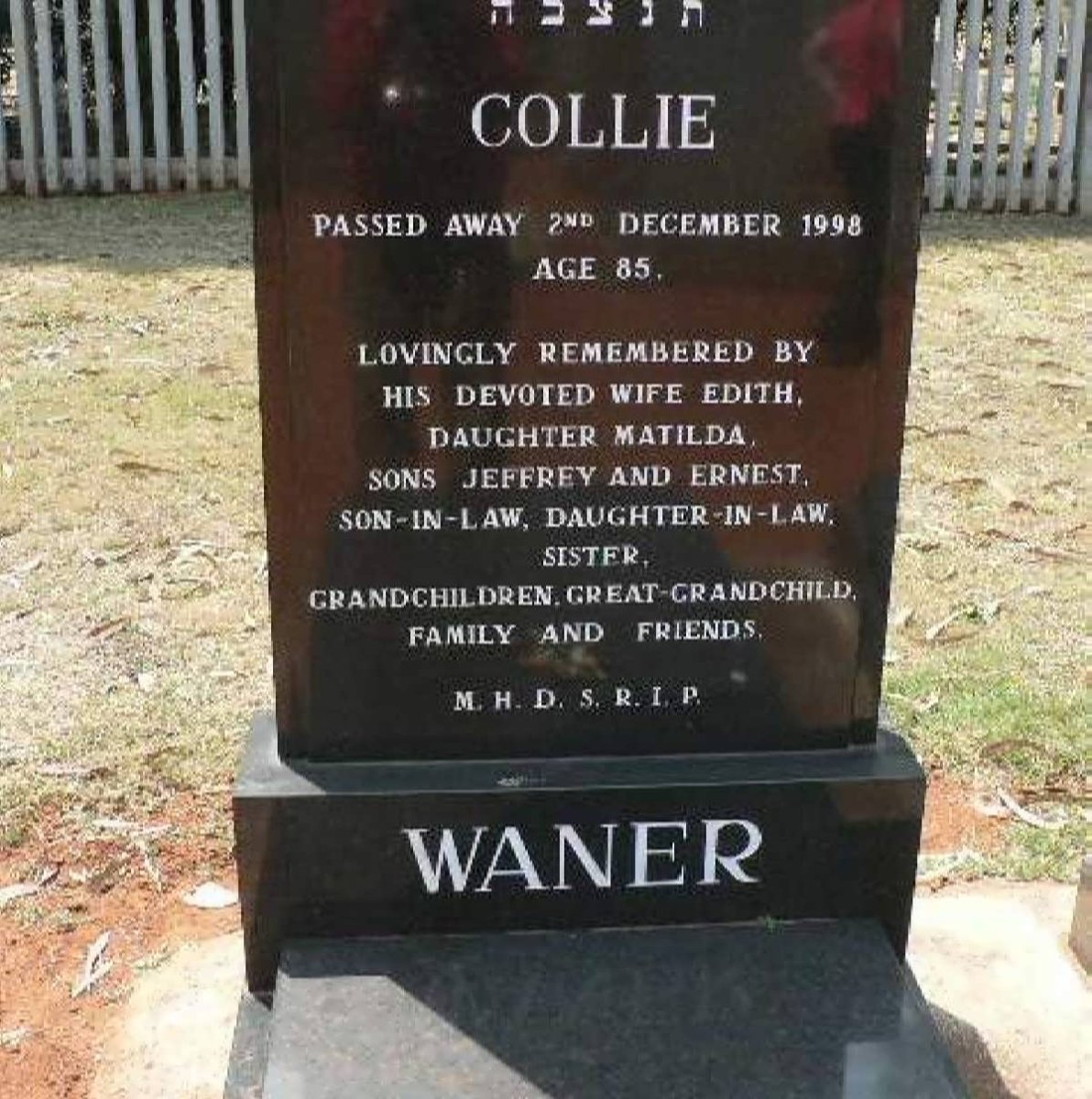 WANER Collie -1998