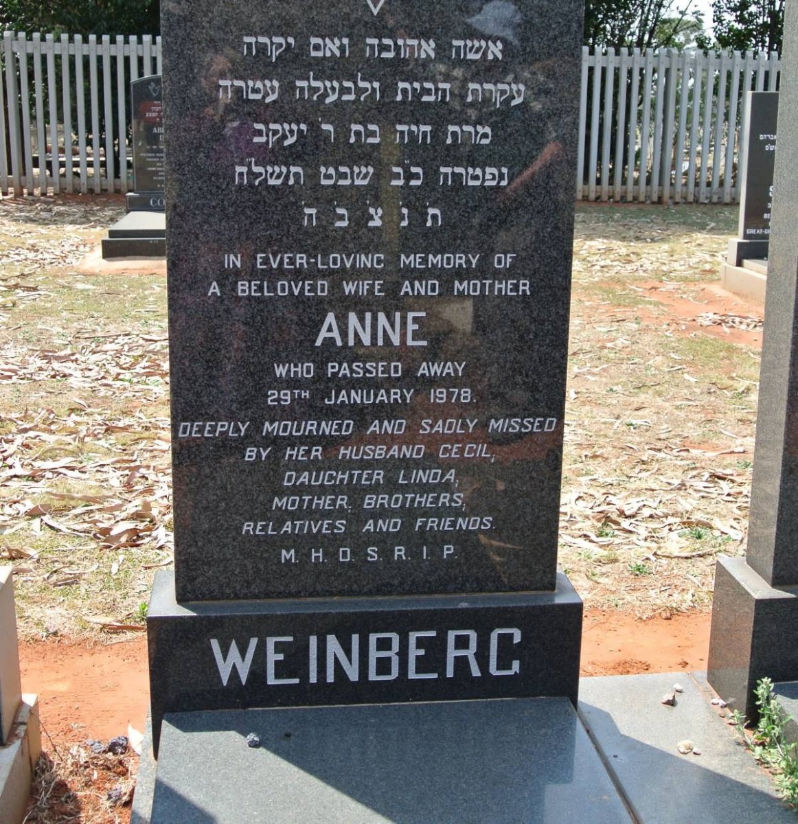 WEINBERG Anne -1978