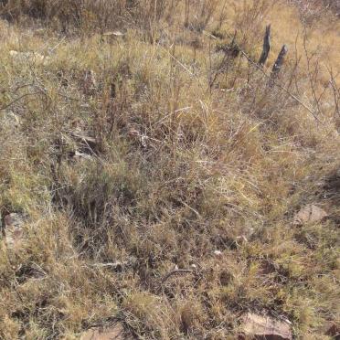 Gauteng, BRONKHORSTSPRUIT district, Witpoort 551_5, farm cemetery