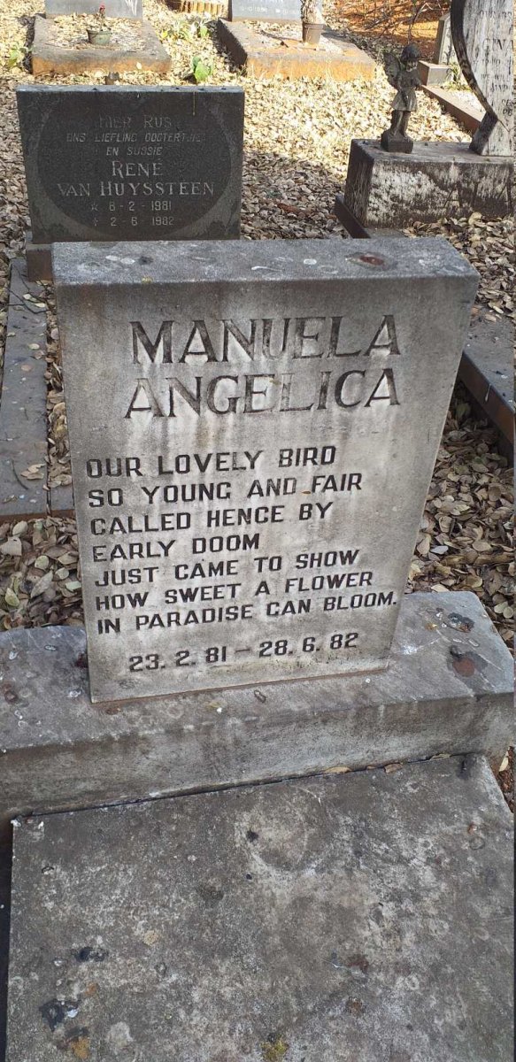 ANGELICA Manuela 1981-1982