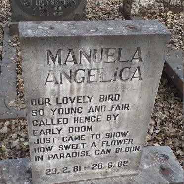 ANGELICA Manuela 1981-1982