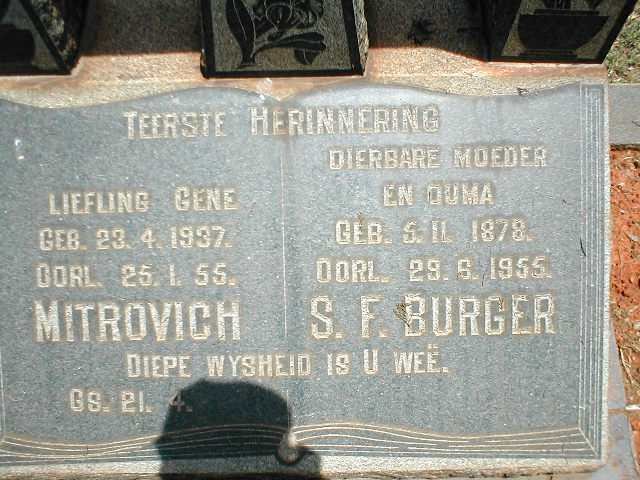 BURGER S.F. 1878-1955 :: MITROVICH Gene 1937-1955