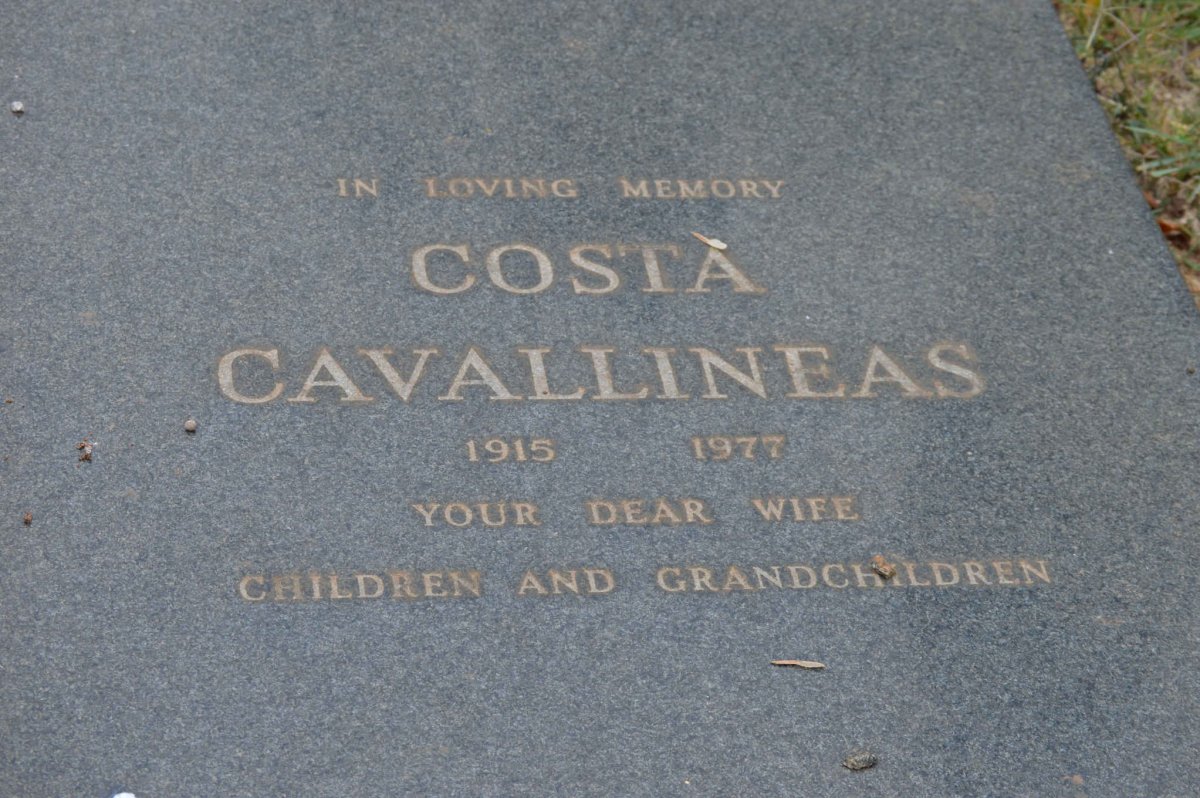 CAVALLINEAS Costa 1915-1977