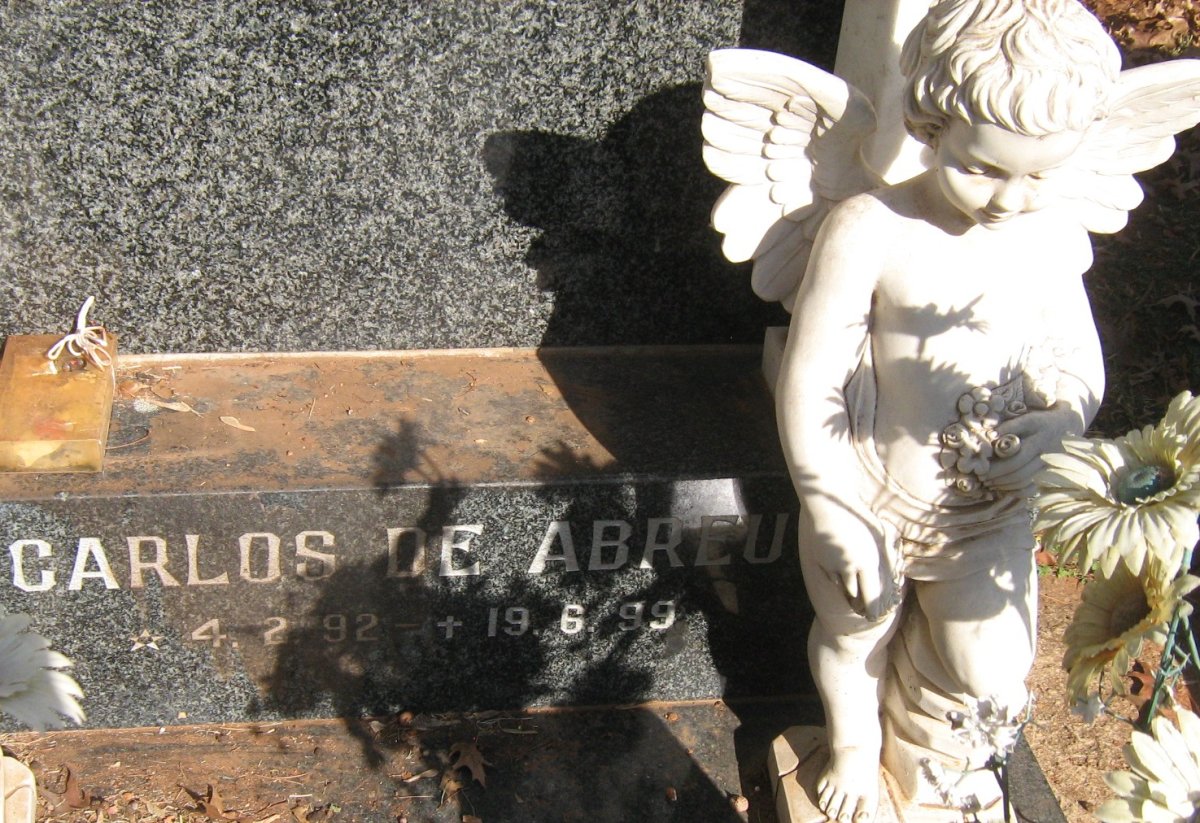 CARDOSO Carlos de Abreu 1992-1999
