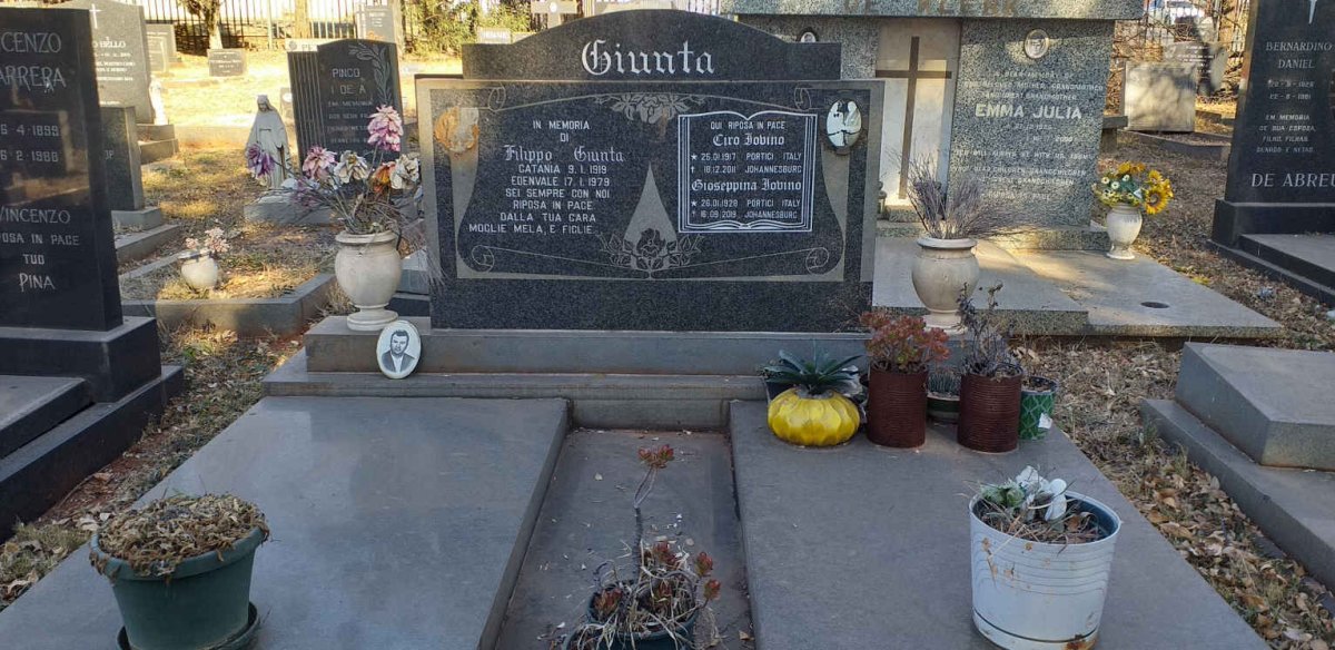 GIUNTA :: IOVINO