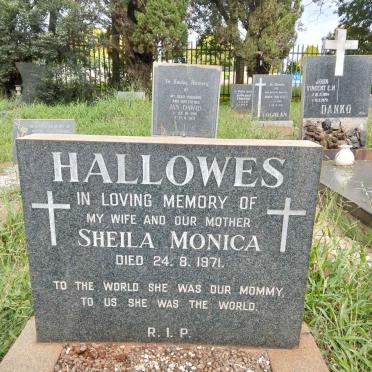 HALLOWES Sheila Monica -1971