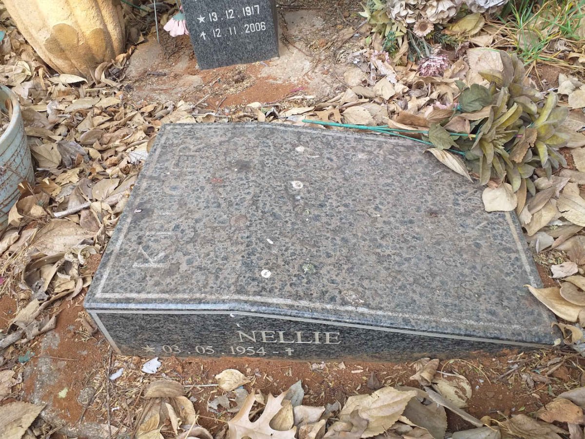 KRUGER Hansie 1952-2006 :: KRUGER Nellie 1954- :: KRUGER Leon 1976-2001 _3