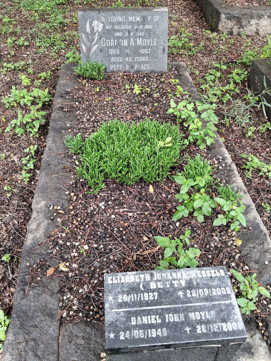 MOYLE Gordon A. -1967 :: WESSELS Elizebeth Johanna 1927-2009 :: MOYLE Daniel John 1949-2008 _1