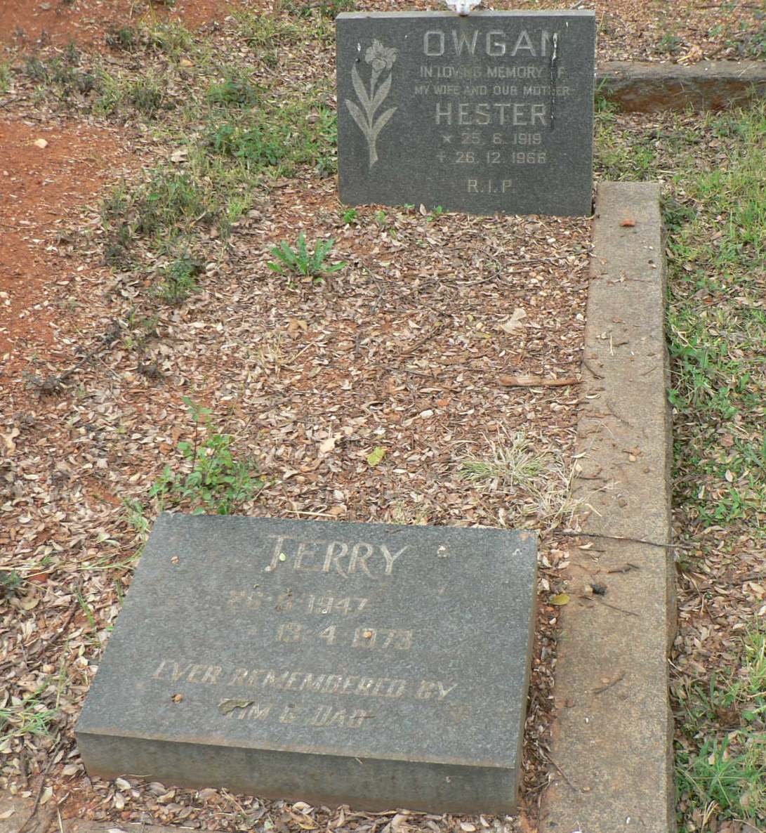 OWGAN Hester 1919-1966 :: OWGAN Terry 1947-1973
