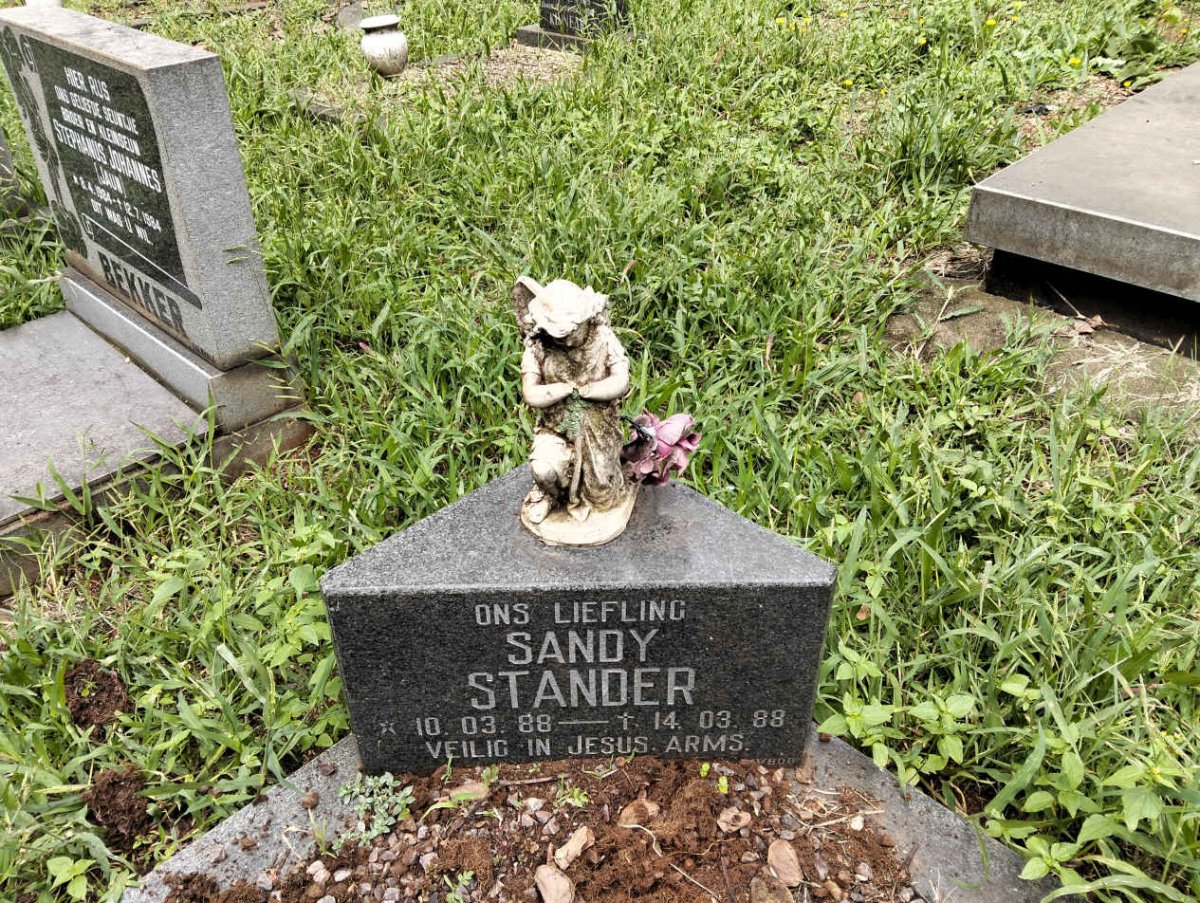 STANDER Sandy 1988-1988