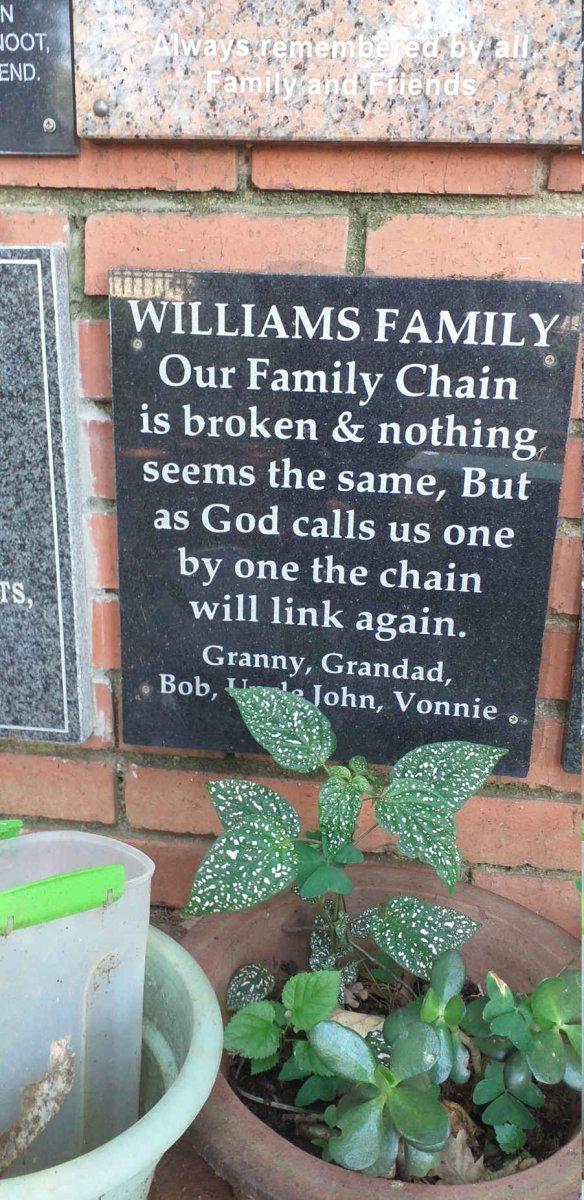 WILLIAMS Family